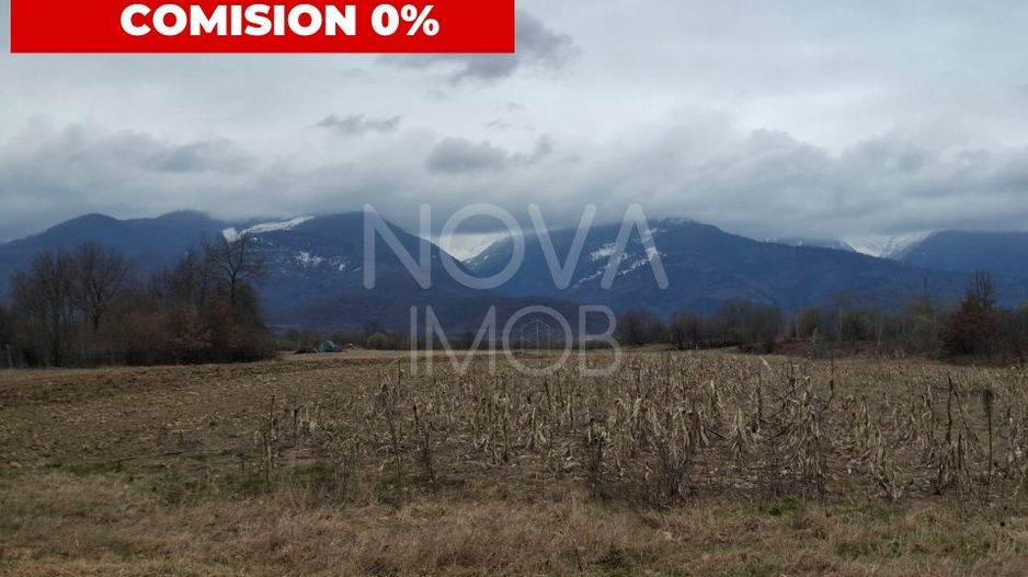 Teren extravilan de vanzare - Arpasul de Sus - Poză 1