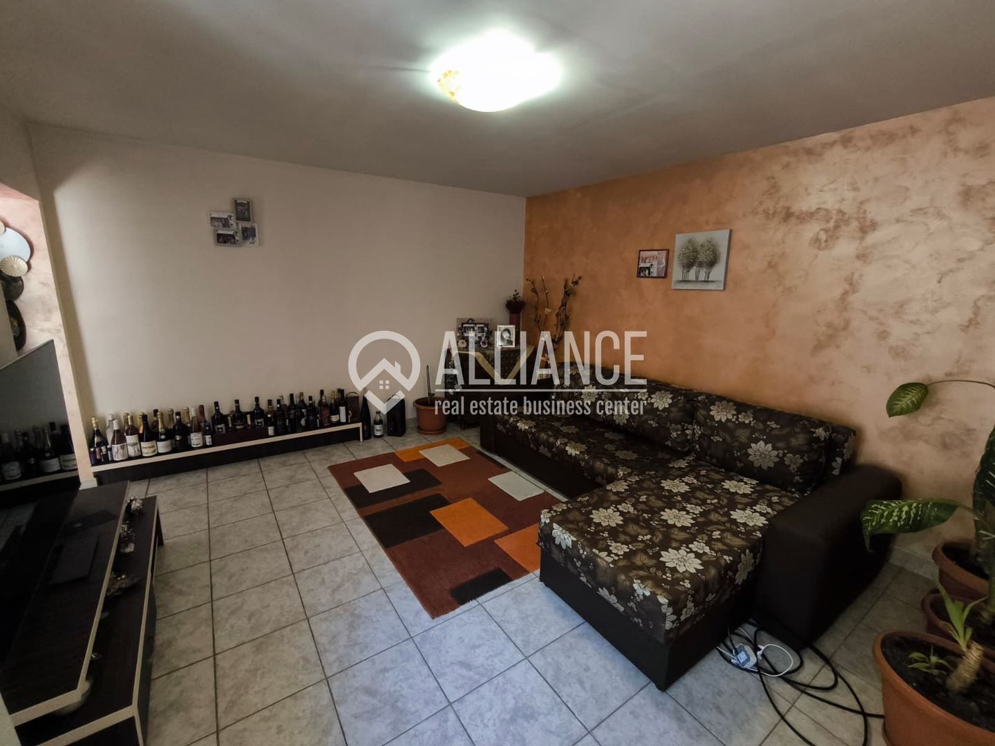 VIILE NOI - casa cu o curte generoasa disponibila imediat - Poză 1