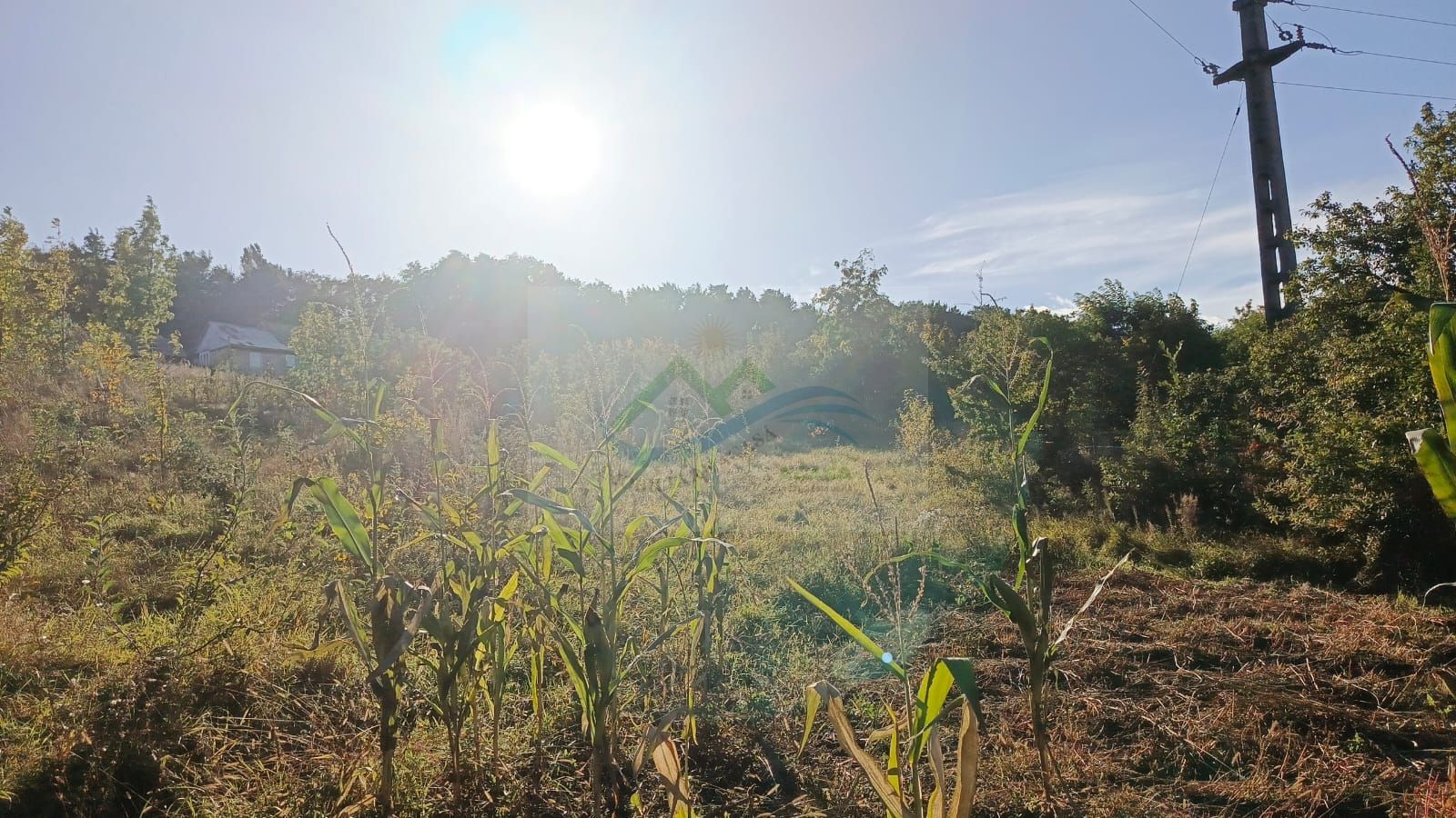 Teren intravilan Horodniceni/Suceava - Poză 5