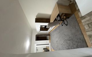 Apartament 1 cameră de închiriat, Tătărași, Str. Vasile Lupu - Poză 5