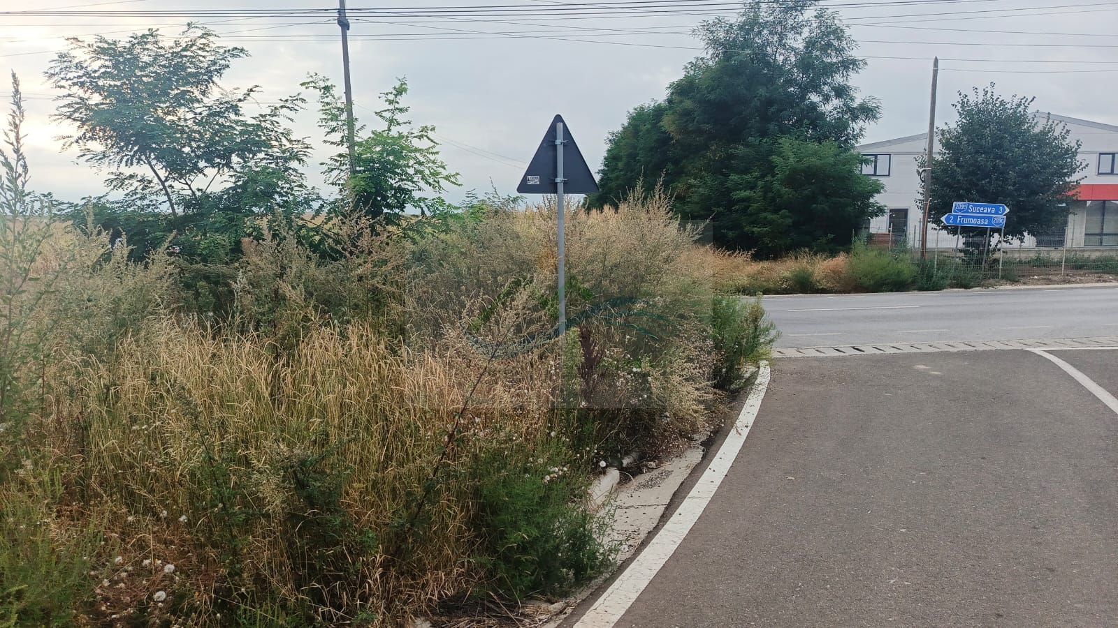 Teren de vânzare Moara Nică/Suceava - Poză 6