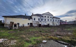 Proprietate tip conac, teren 4468 mp, oras Lipova - Poză 3