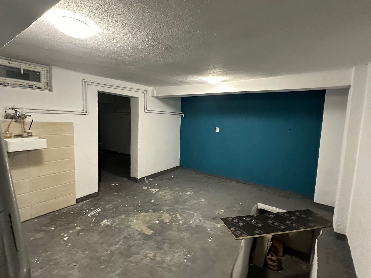 Inchiriere Casa-curte-1 Mai-Expozitiei - Poză 8