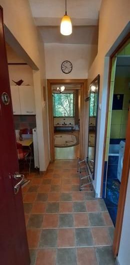 Garsonieră în vilă, terasă 10 mp, curte proprie, mobilată complet, Baba Novac - Poză 7