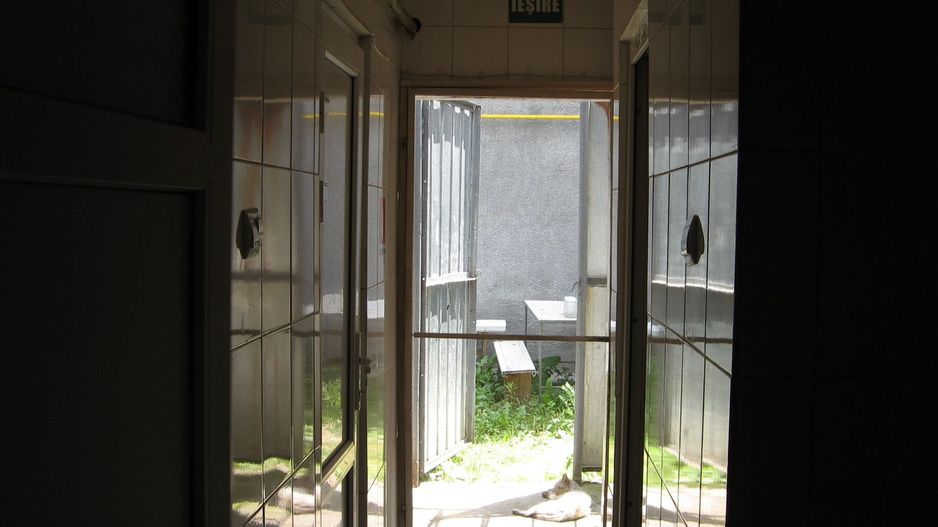 Vand afacere, utilaje si cladire - Poză 8