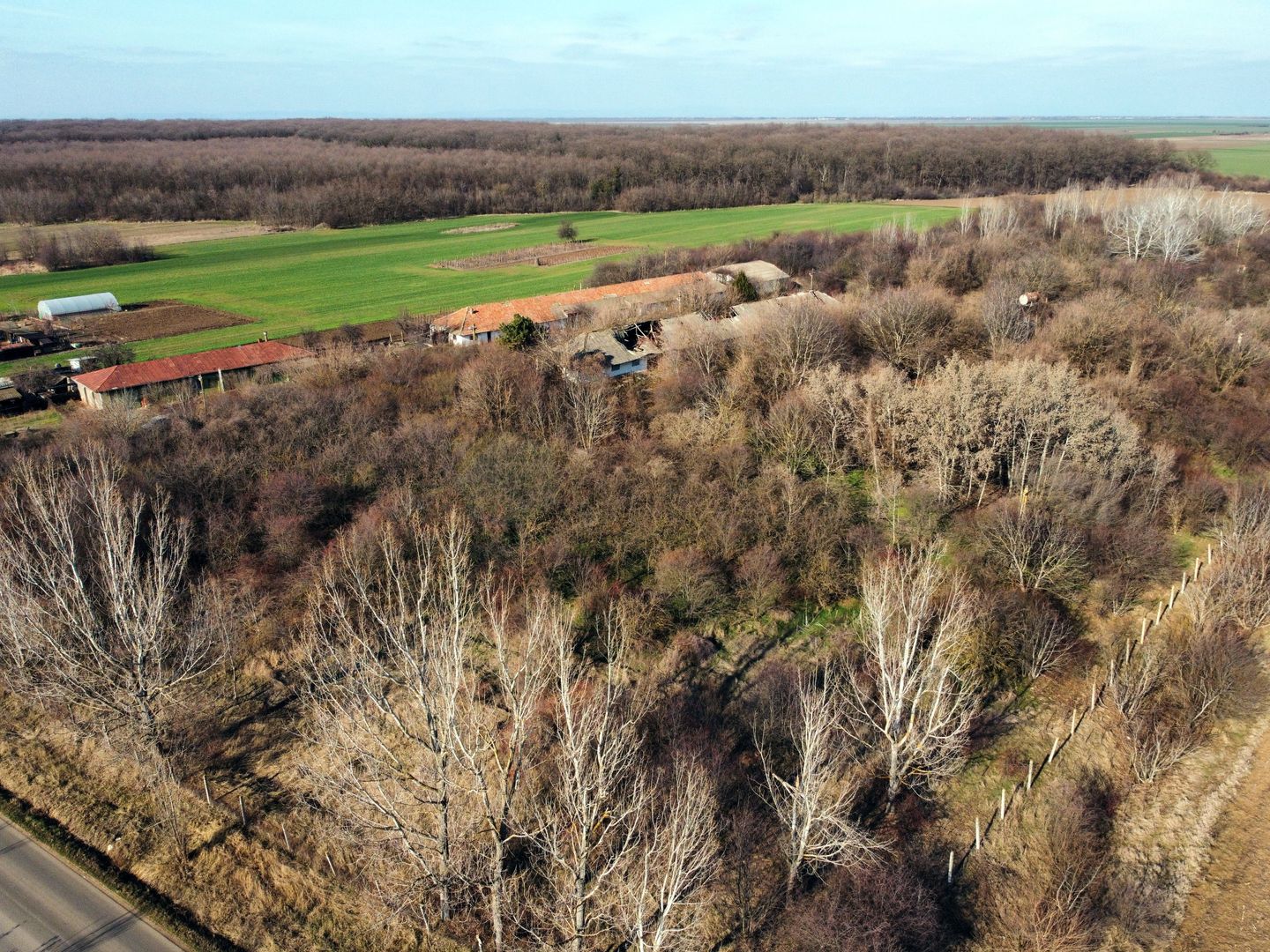 Ferma si livada de meri in judetul Ilfov - Poză 20