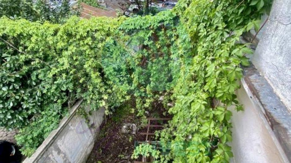 Casa cu personalitate de la 1900 Eminescu-Romana - Poză 4