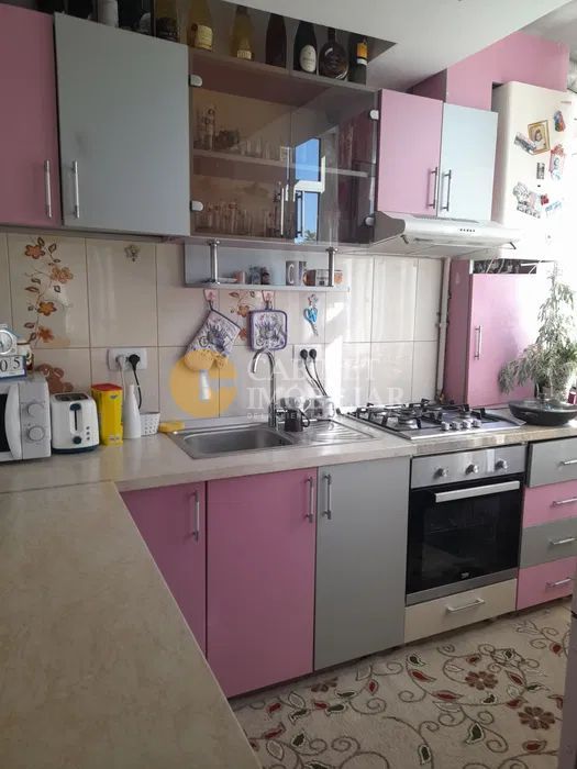 Nicolina- Apartament 1 Camera 42 Mp -Bloc 2009 - Poză 1