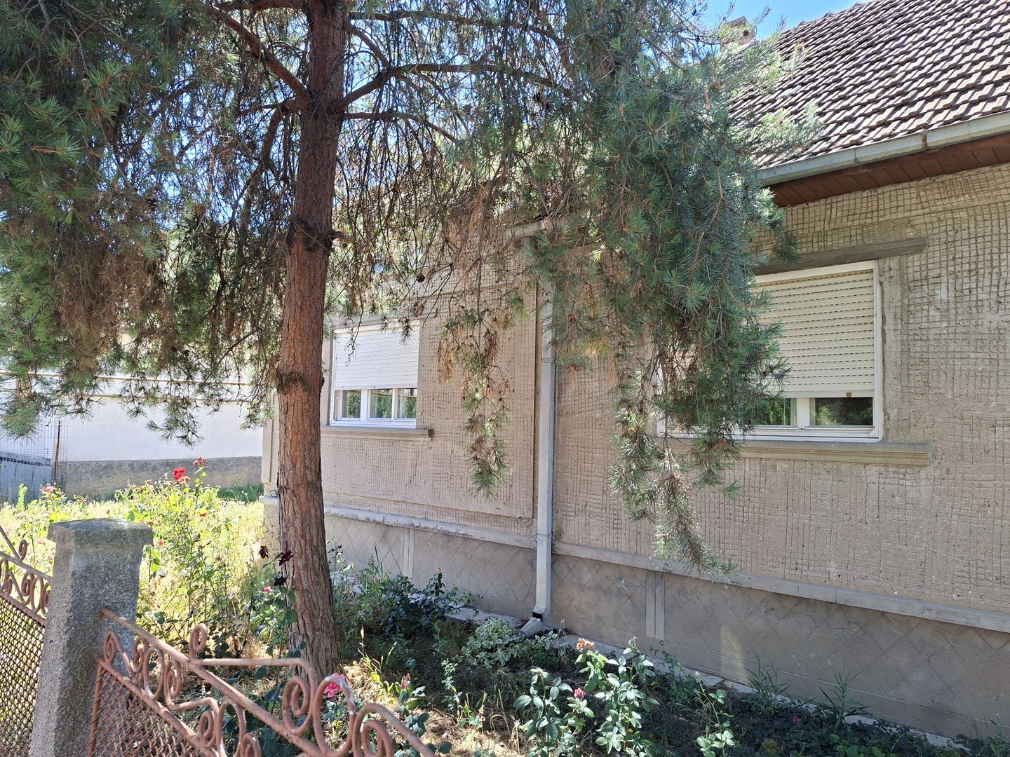 BRASADAS vinde casa 3 cam cu teren 5 ari in 14 Mai. - Poză 3