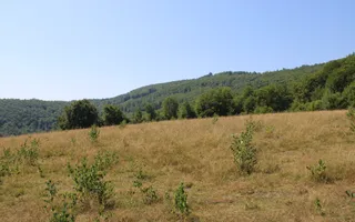 Terenuri Carpinis I parcelabil I Curent pe proprietati - Poză 14