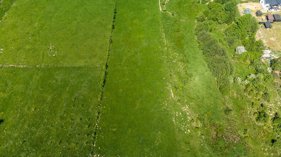 5.700 mp teren intravilan, in incantare montana, Rasnov, Glajerie, Brasov - Poză 2