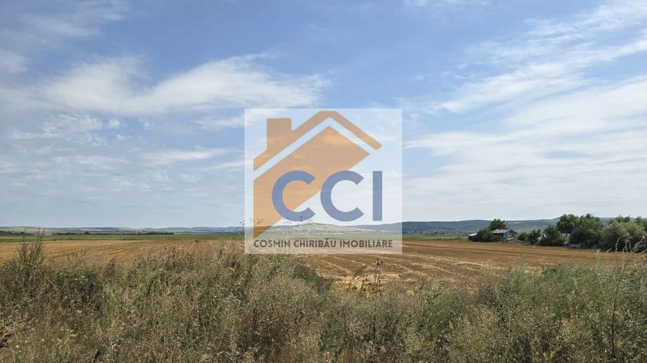 Teren intravilan– 50.000 mp, Bacău, Șoseaua Hol - Poză 7