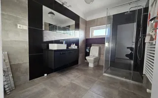 Casa de inchiriat in Vladimirescu (pretabil pentru Birou,Cabinet etc.) - Poză 21