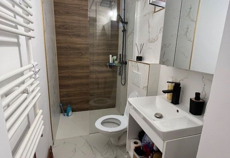 Vila  Centrul Bucurestiului - Parcul Carol - Poză 19