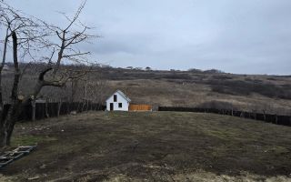 Vilă 405 mp, teren 1500 mp în zona Viticultori, Iași - Poză 3