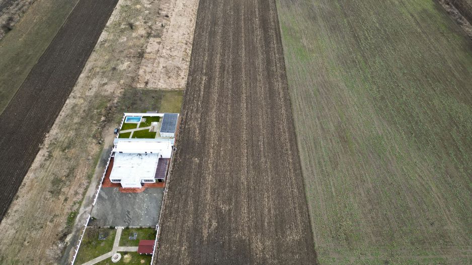 Teren 20.000 mp Vladimirescu - Poză 3