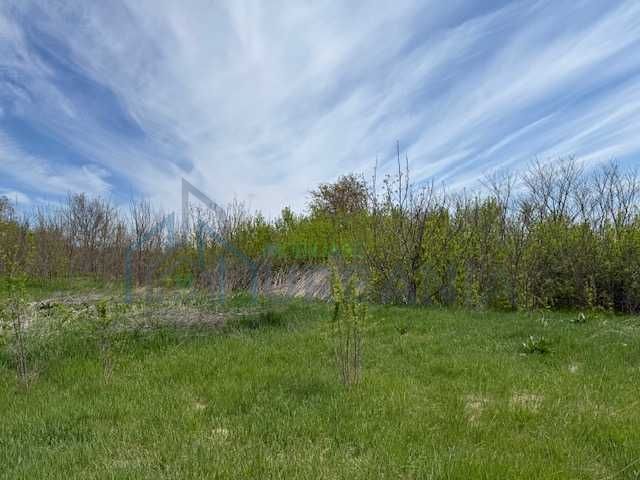 Teren intravilan de vanzare in Miroslava, sat Proselnici – 7.000 mp - Poză 3