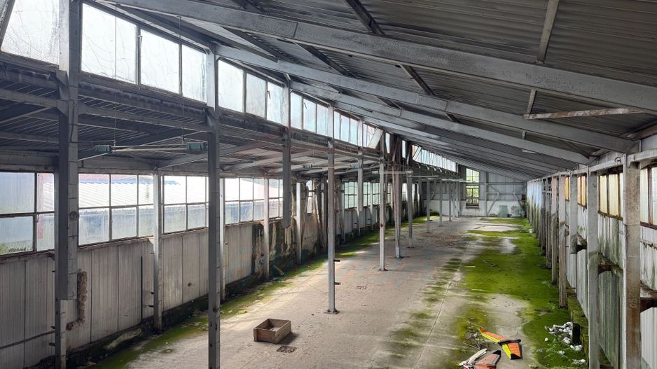 Hala In oras str Traian eligibil program "Tranzitie Justa" - Poză 8