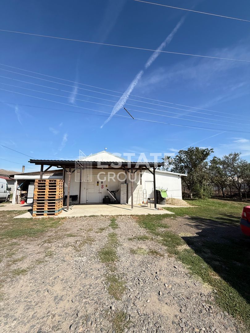 Hala Bucovat pentru productie sau depozitare - Poză 1