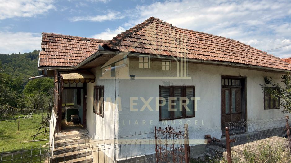 CASĂ3 3 CAMERE TEREN 1277 MP STOENEȘTI (SLOBOZIA) ARGEȘ - Poză 4