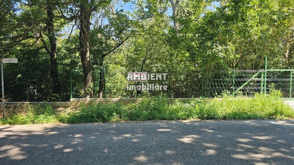 INVESTIȚIE!! Teren intravilan 5.000 mp, zona BĂLTENI - Padure; - Poză 5