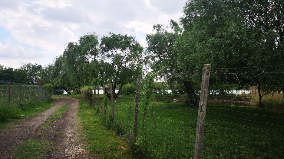 Teren Manastirea Buftea - Poză 3