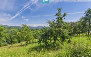 Casă de vacanță cu 2 corpuri si view în Dulcele - Poză 25
