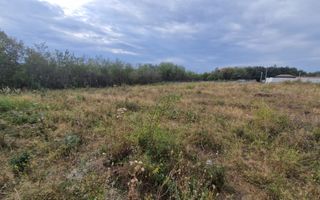 Vanzare teren intravilan, Smeura - Poză 4