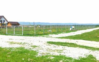 Teren Extravilan | 8.000 MP | Utilități | Acces Facil | Zona Valea Avrigului - Poză 2