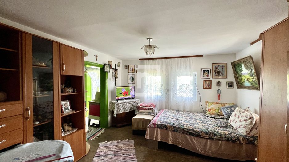 Ferma agricola, plantatii de mure, trandafiri, vita-de-vie - Poză 14