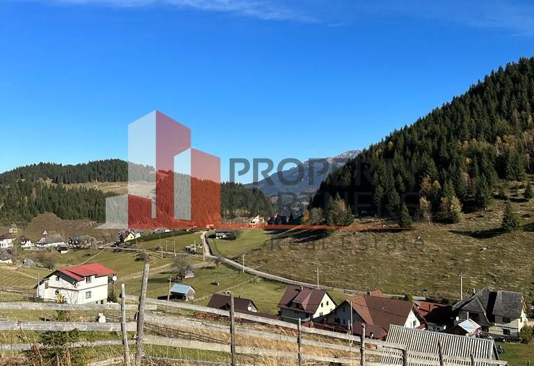 Teren Fundatica intravilan 4500 mp - Poză 17