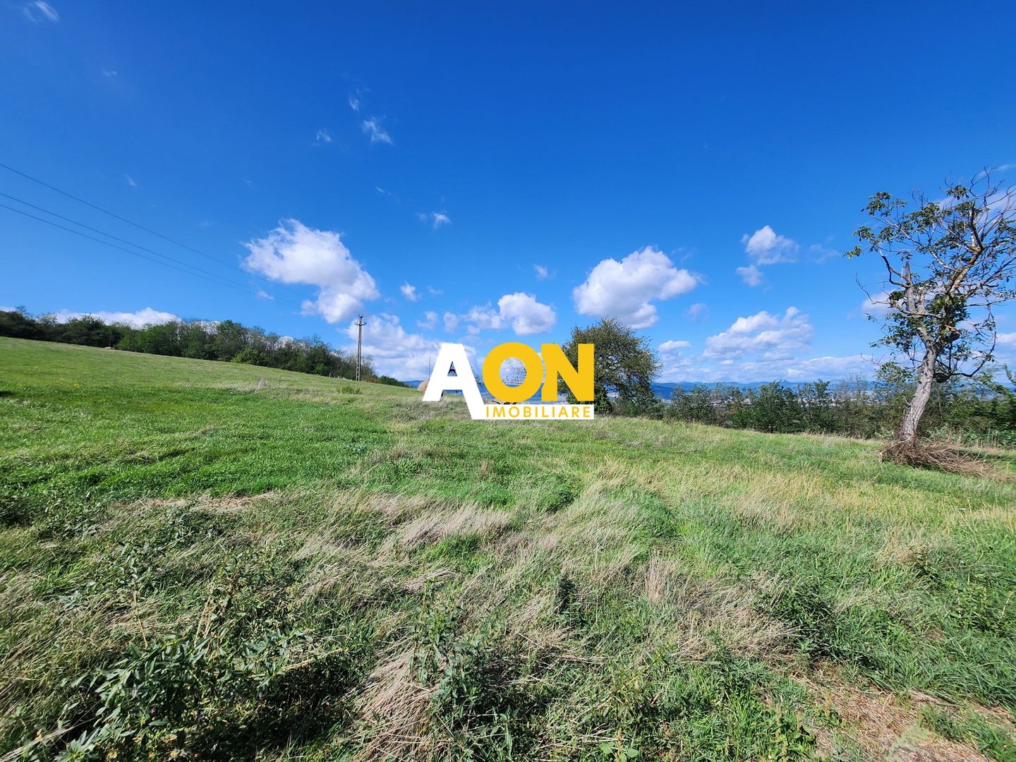 De vanzare 2965 mp teren intravilan, toate utilitatile, Oarda de Sus - Poză 4