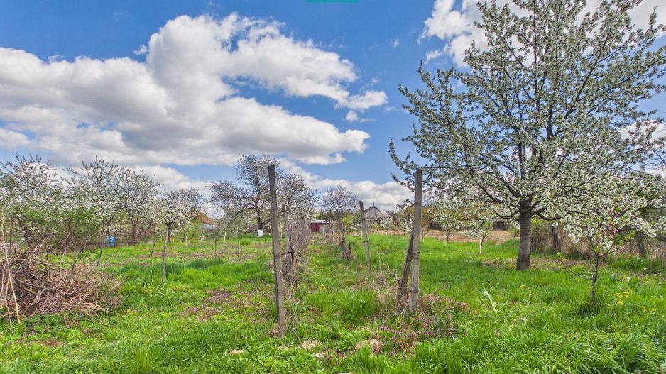 Casă cu teren 1.151mp la 25 km de Oradea, Sisterea - Poză 19