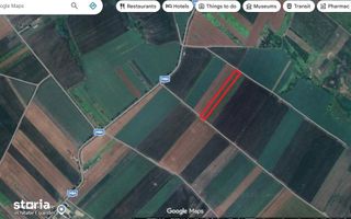 Teren de vânzare, 6.500 mp, extravilan – comuna Voinești, județul Iași - Poză 2