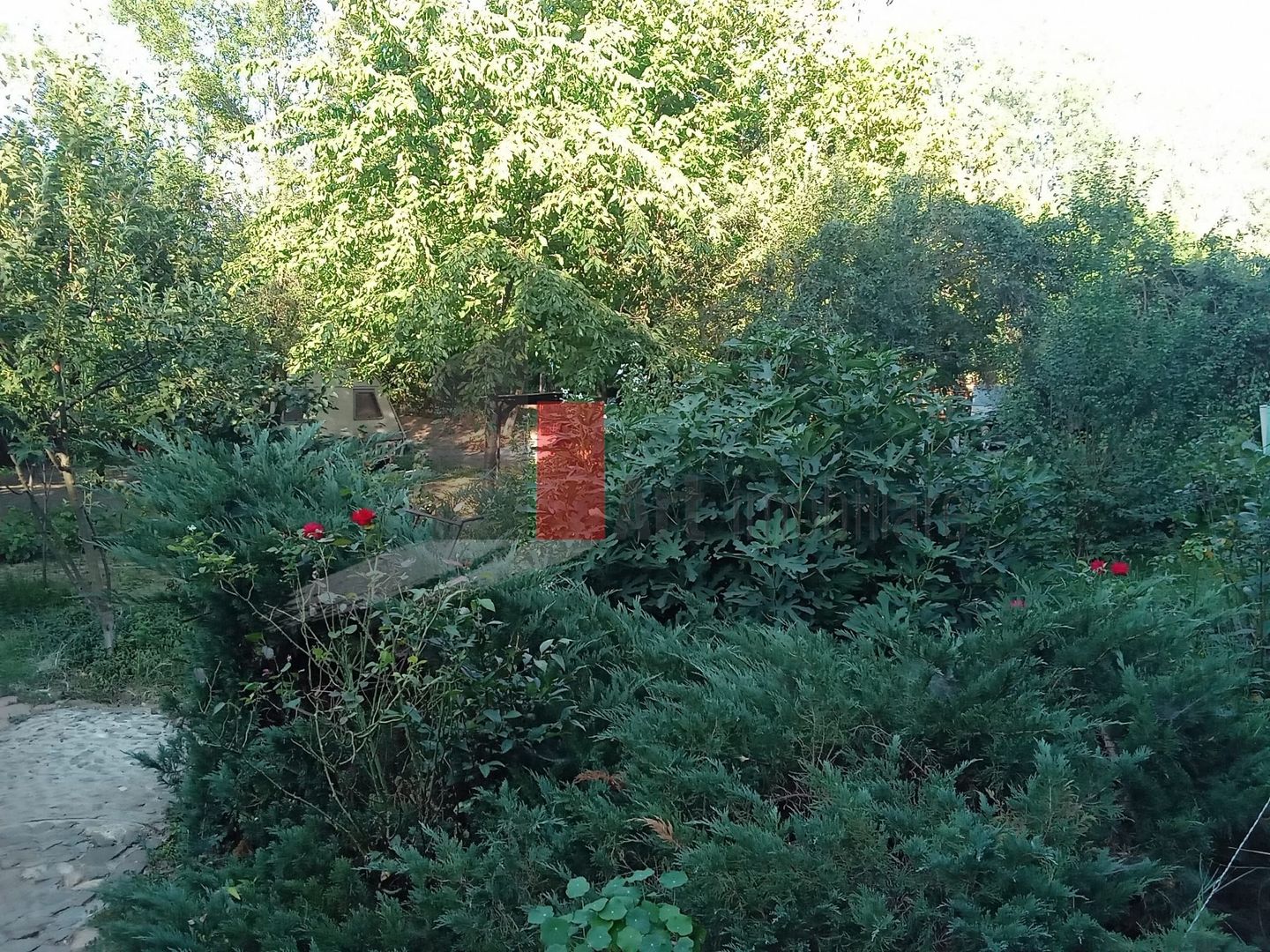 Vânzare teren intravilan Dărăști-Vlașca - Poză 7