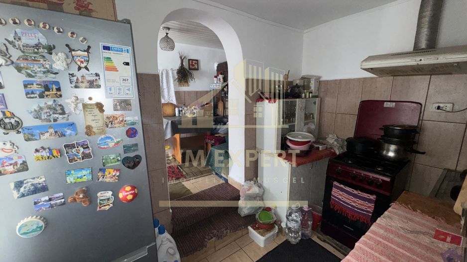 ANSAMBLU DE CASE CU 5 CAMERE 110MP TEREN 2530 MP BUGHEA DE JOS ARGEȘ - Poză 10