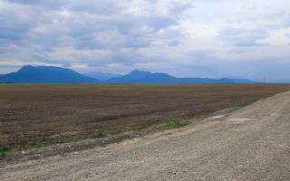 Carpinis, 10000mp-arabil, 28000Euro/negociabil - Poză 5