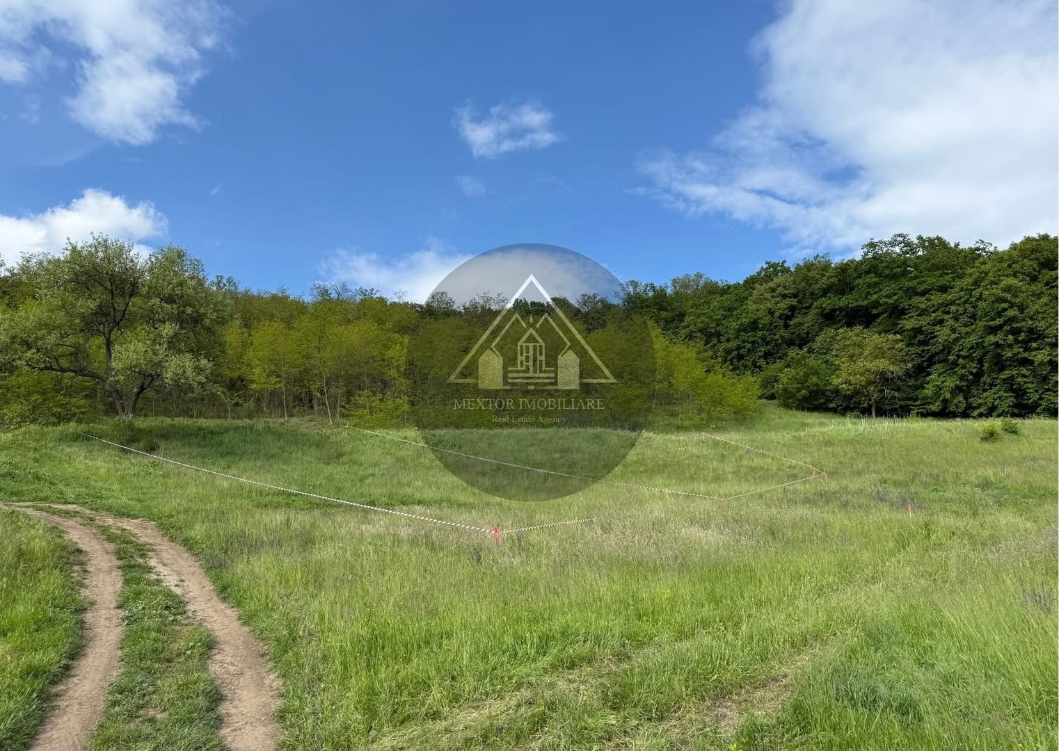 Teren de casa cu PUZ, Mosnei - Poză 4