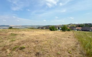 Oportunitate! Teren intravilan, 854 mp, strada Crangului Dezmir - Poză 2