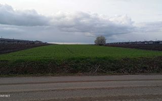 Teren Intravilan Vorovesti, 1 ha, deschidere la DJ 248A - Poză 5