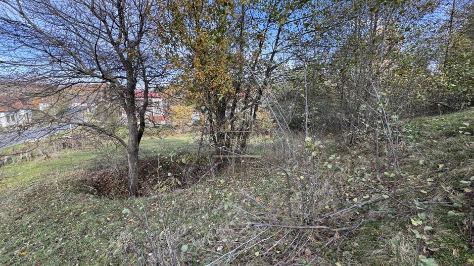 TEREN INTRAVILAN 13167 MP BUGHEA DE SUS ARGES - Poză 32