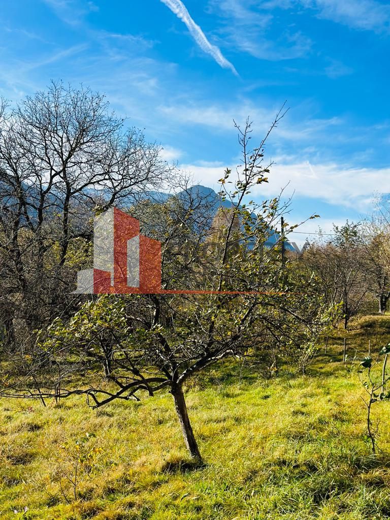 Teren Bran / Predelut cu priveliste 1840mp - Poză 12