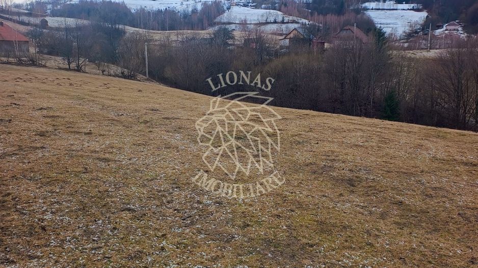 COMISION 0 TEREN TURISTIC EXTRAVILAN APROAPE DE PADURE VISAGU VLADEASA CLUJ - Poză 1