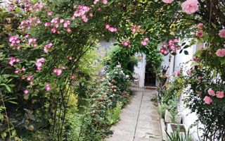 Casa individuala | 220 MPU | Gradina | Curte | Cisnadie - Poză 8