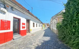 Spatiu comercial si alimentatie publica in zona ultracentrala - Poză 12