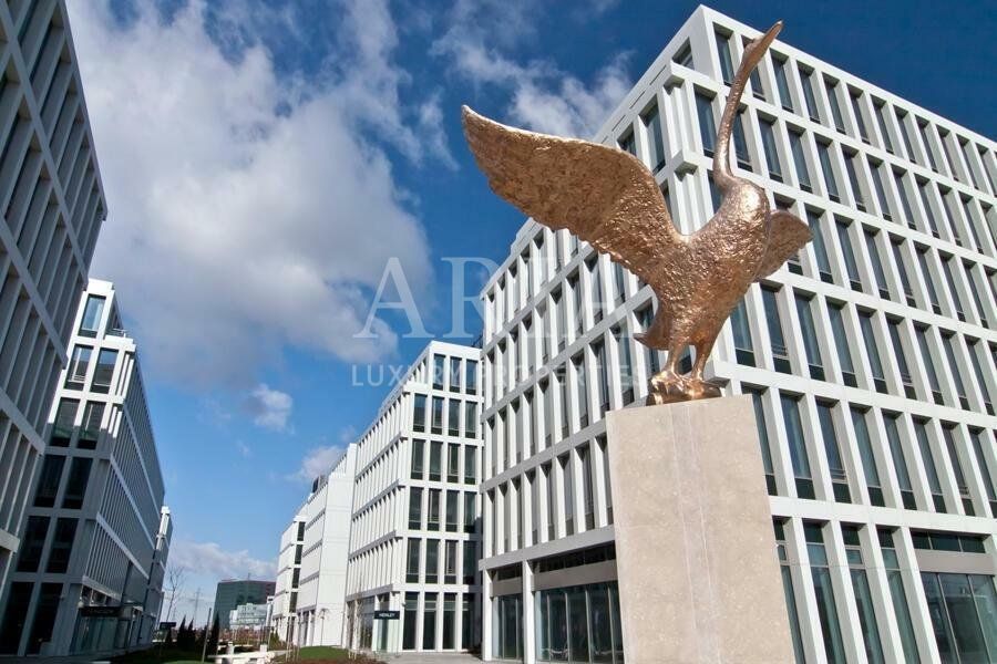 Swan Office & Technology Park SPATIU COMERCIAL/BIROU - Poză 3