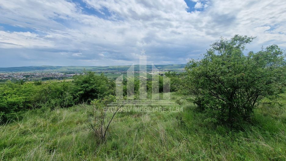 Teren extravilan de vanzare, Paclisa - Poză 3