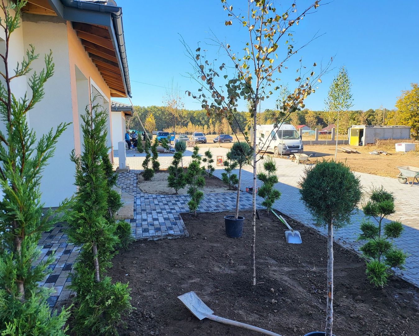 Moara Vlasiei | Padurea Branzeasca - Poză 3