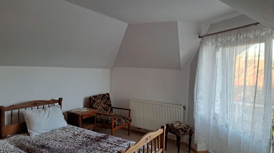 OFERTA in Băcia. Hunedoara ! Proprietate 2 case + Cabană - Poză 6