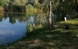 Teren intravilan de vânzare | Exterior Est, Miercurea Sibiului - Poză 2